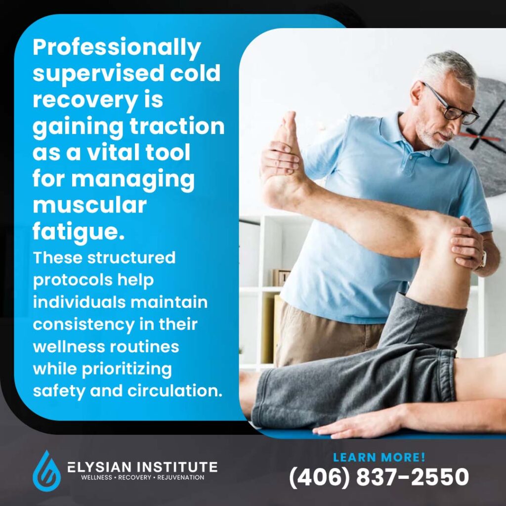 Promotional graphic from Elysian Institute explaining that professionally supervised cold recovery is a vital tool for managing muscular fatigue. The text notes that these structured protocols help individuals maintain consistency in wellness routines while prioritizing safety and circulation. The visual displays a male practitioner in a light blue shirt guiding a patient through a physical therapy leg stretch. Includes a call to action to call (406) 837-2550.